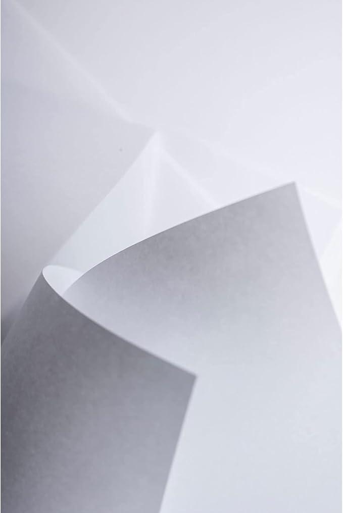 favini favini rismaluce carta bianca formato a4 21x29,7 cm in confezione da 125 fg. da 200 gr/mq - foto 4