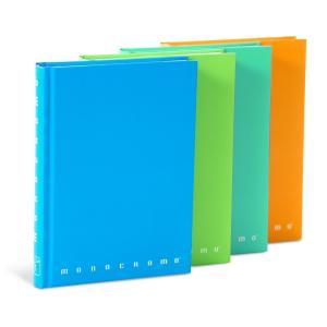 Diario 12 mesi colori fluo assortiti