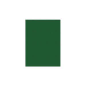 Ecocolor carta da regalo kraft conf. da 10 fogli 70x100 cm colore verde
