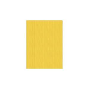 Ecocolor carta da regalo kraft conf. da 10 fogli 70x100 cm colore giallo