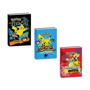 Diario pokemon 10 mesi non datato