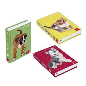 Diario 12 mesi non datato dolci cuccioli 13,2x18,3cm 3 fantasie assortite