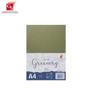 50 fg. cartoncino greenery verde salvia a4 (21x29,7cm) 250gr/mq