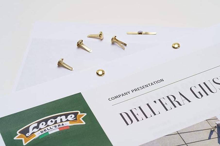 leone dell'era leone dell'era fermacampioni n. 6 ottonati - 10 conf. da 100 pz. - foto 4